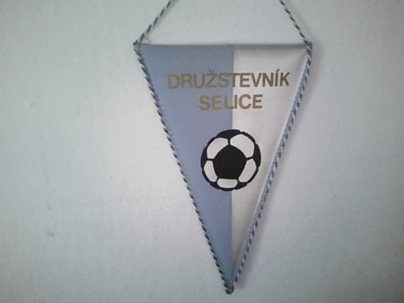 SELICE DRUŽSTEVNIK -19-